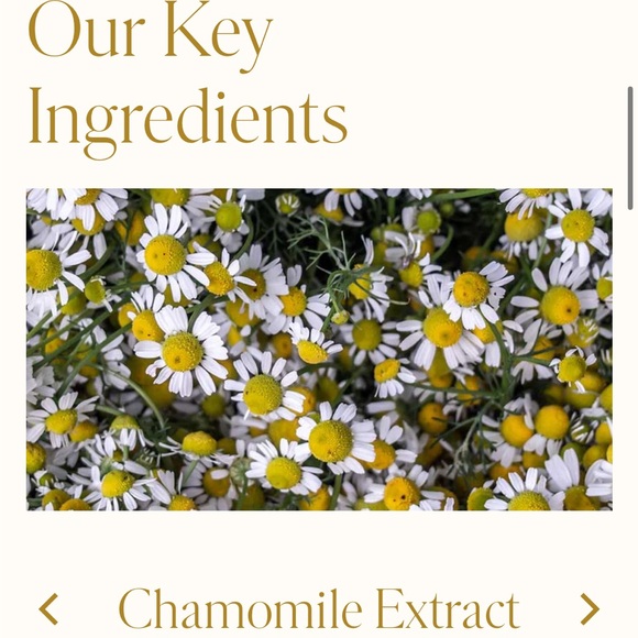 WEN  Summer Honey Peach Cleansing Conditioner 16oz New Read description - Picture 8 of 12